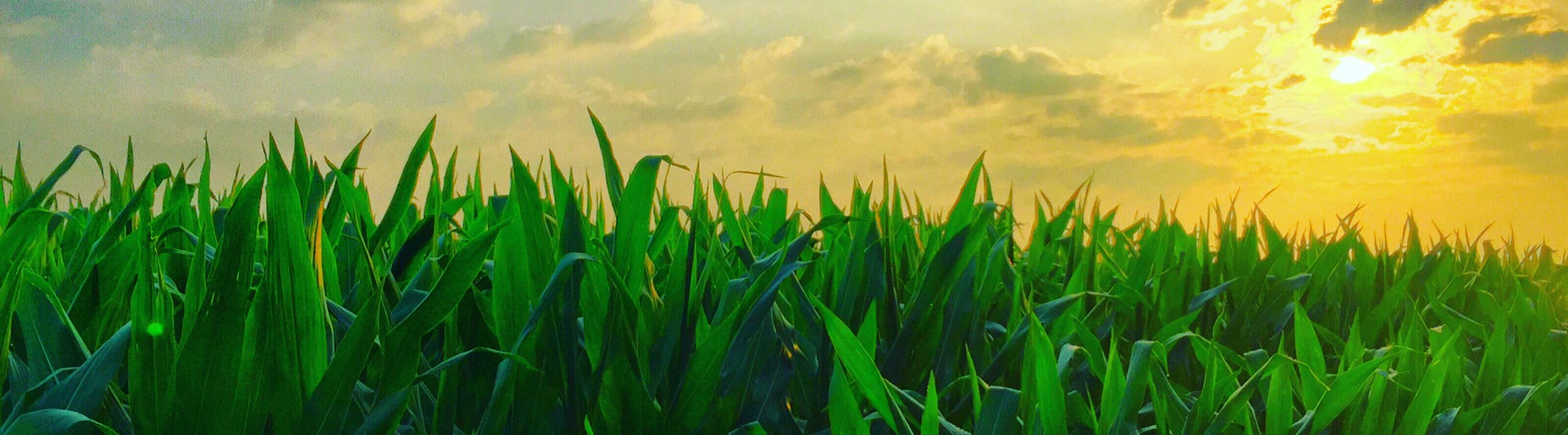 Missouri Agricultural Helicopter Services